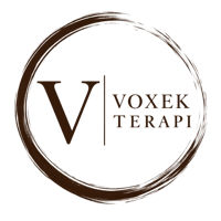 Voxekterapi