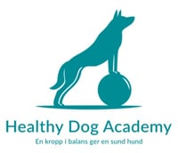 Healthy Dog Academy