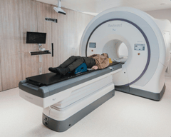 An image uploaded by user