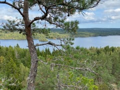 An image uploaded by user