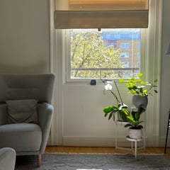 An image uploaded by user