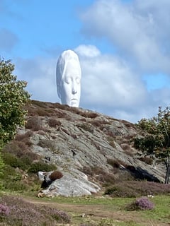 An image uploaded by user