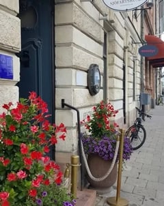 An image uploaded by user
