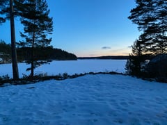 An image uploaded by user