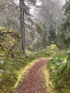 An image uploaded by user
