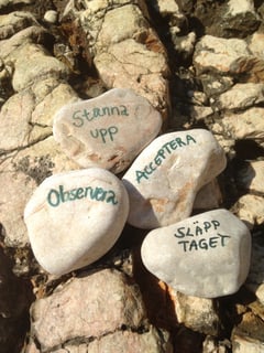 An image uploaded by user