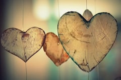 An image uploaded by user