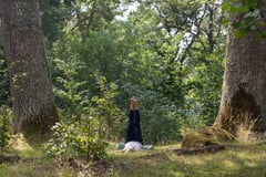An image uploaded by user