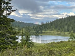 An image uploaded by user