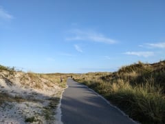 An image uploaded by user