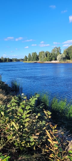 An image uploaded by user