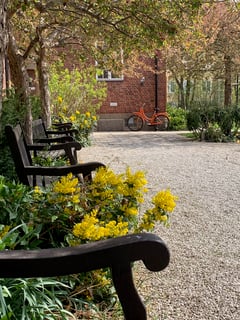 An image uploaded by user