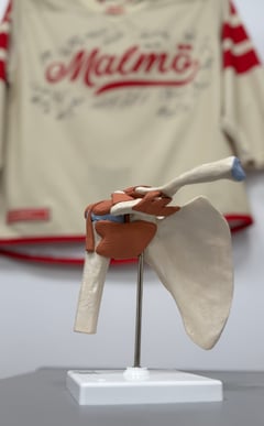 An image uploaded by user