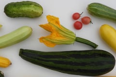 An image uploaded by user