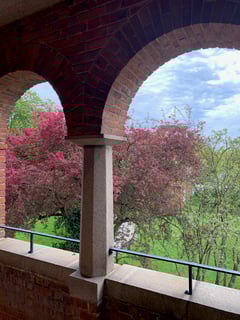 An image uploaded by user