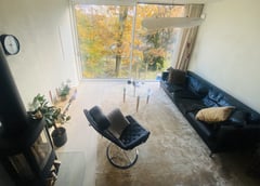 An image uploaded by user