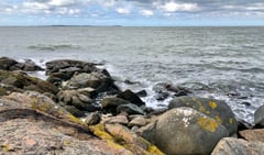 An image uploaded by user