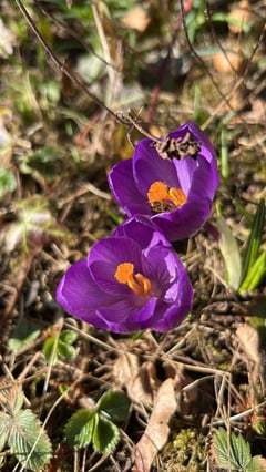 An image uploaded by user
