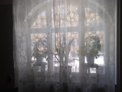 An image uploaded by user