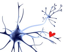 An image uploaded by user