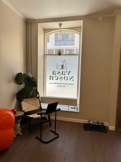 An image uploaded by user